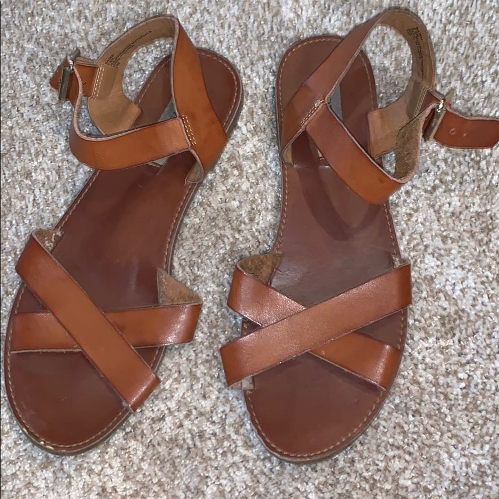 steve madden